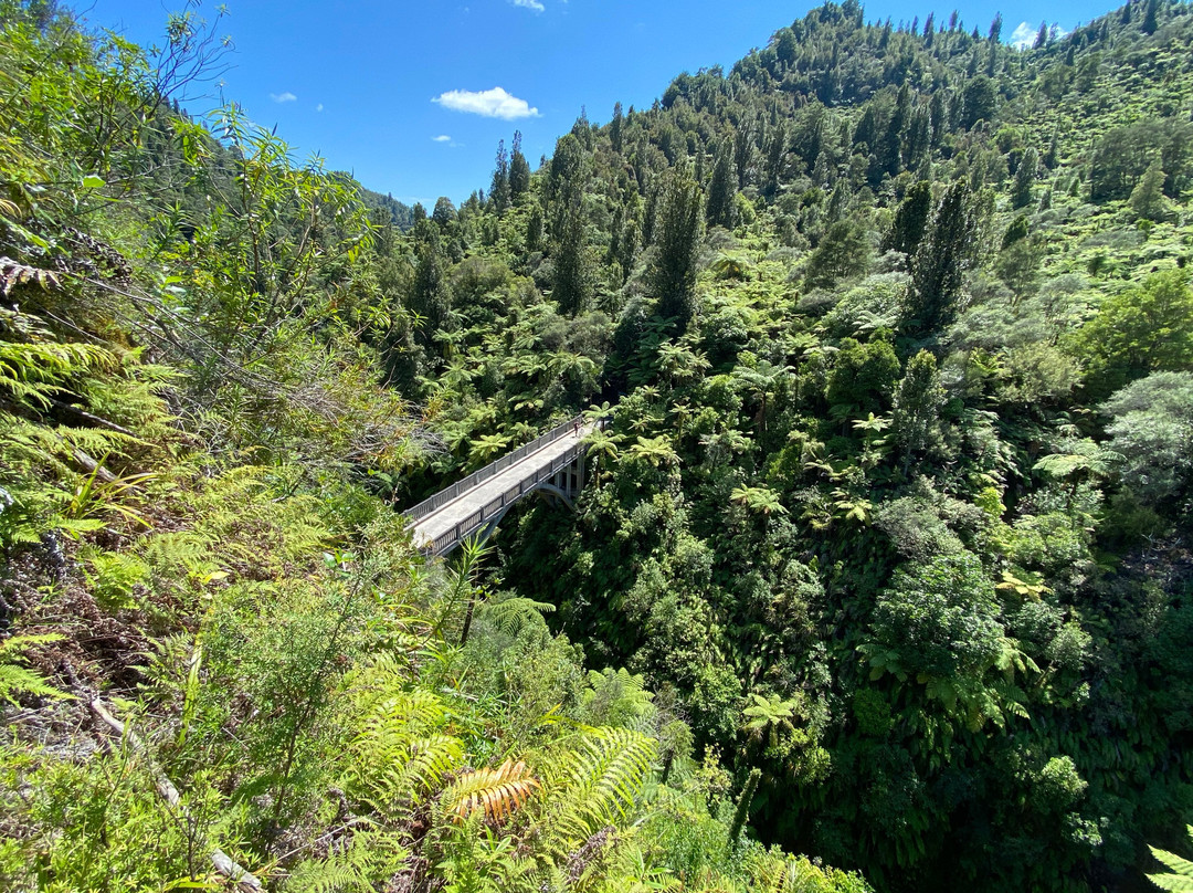 Whanganui National Park景点图片