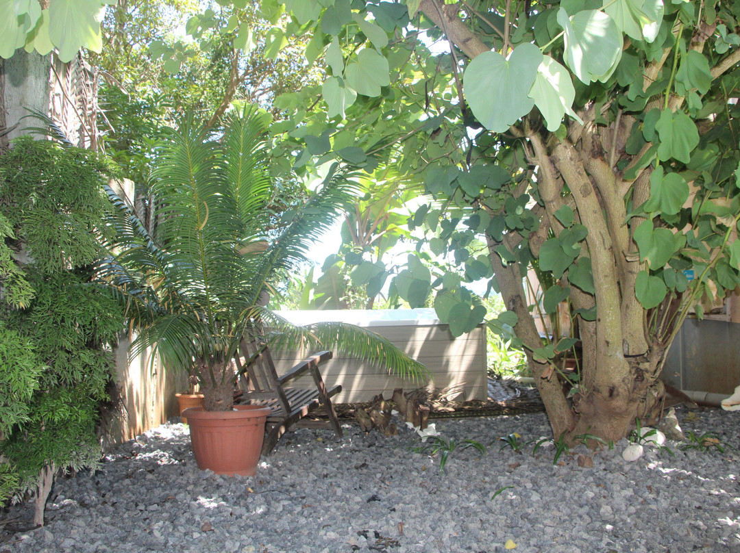 Le Lodge de l'Avocatier主图