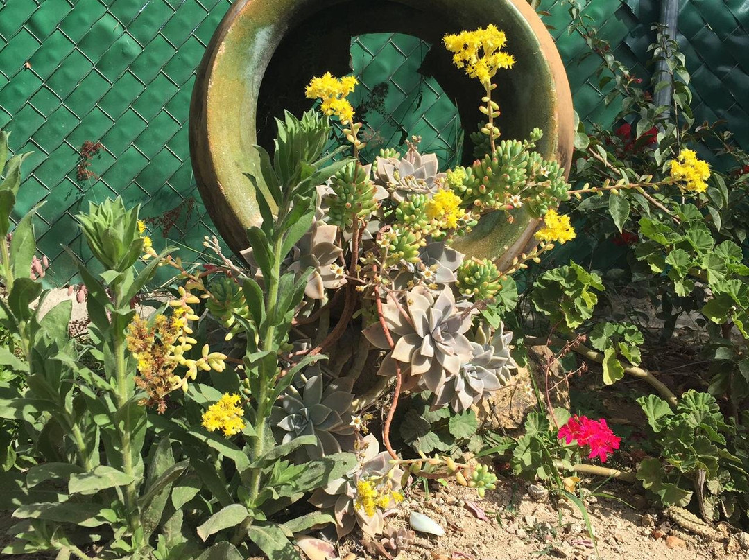 Mezcal Real Minero-瓦哈卡必去景点