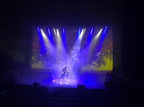 MAYAHUEL SHOW-瓦拉塔港必去景点