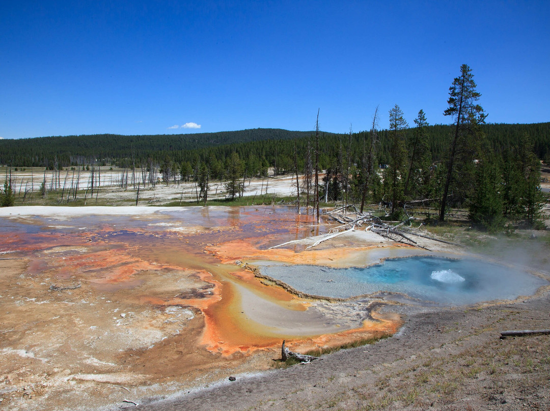 Yellowstone Safari Company-Pray必去景点