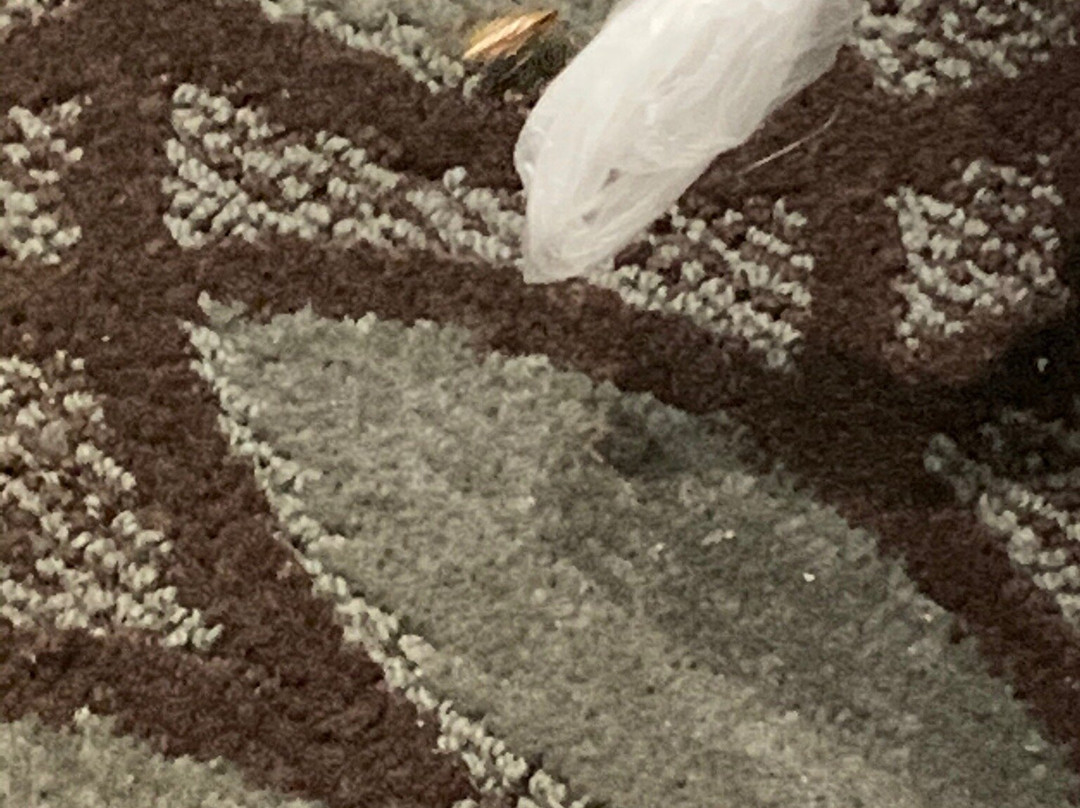 肯尼迪机场昆斯区附近霍华德约翰逊酒店主图