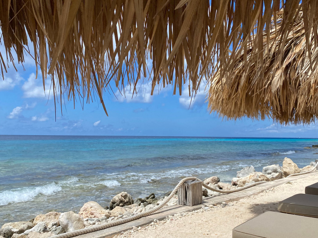 Ocean Oasis Beach Club-Kralendijk必去景点