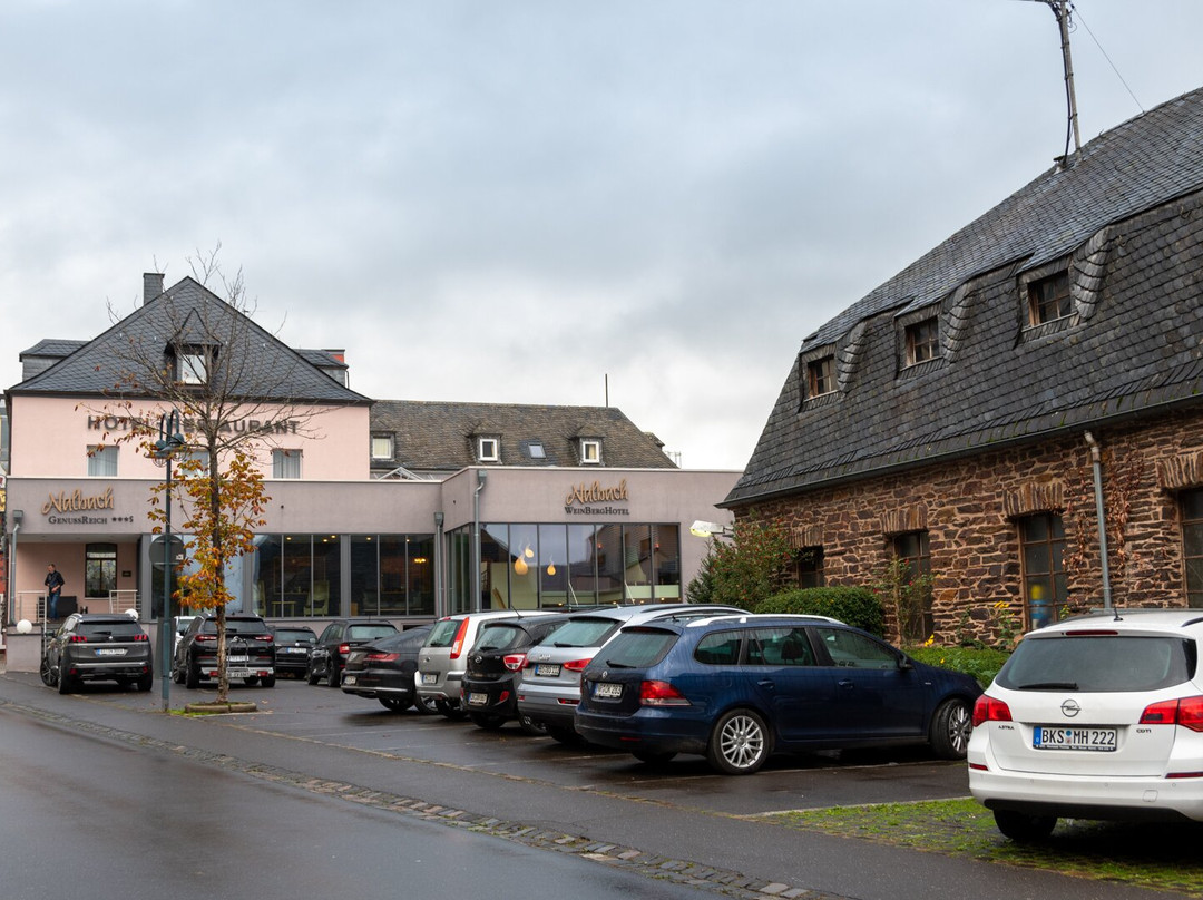 WeinBergHotel Nalbach Reil/Mosel主图