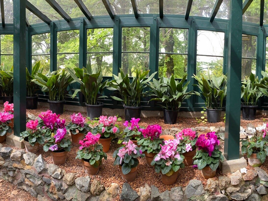 Cook Park-奥兰治必去景点