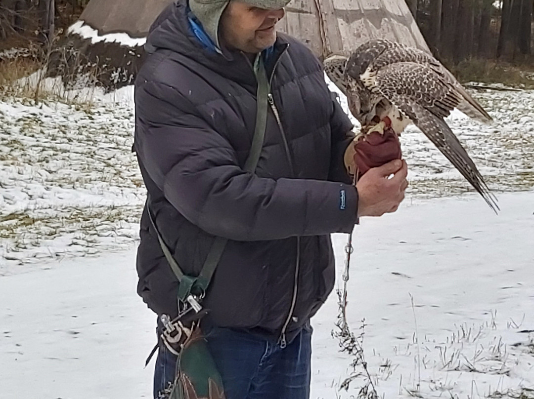Monitoring And Rehabilitation Center For Predatory Birds Kholzan景点图片