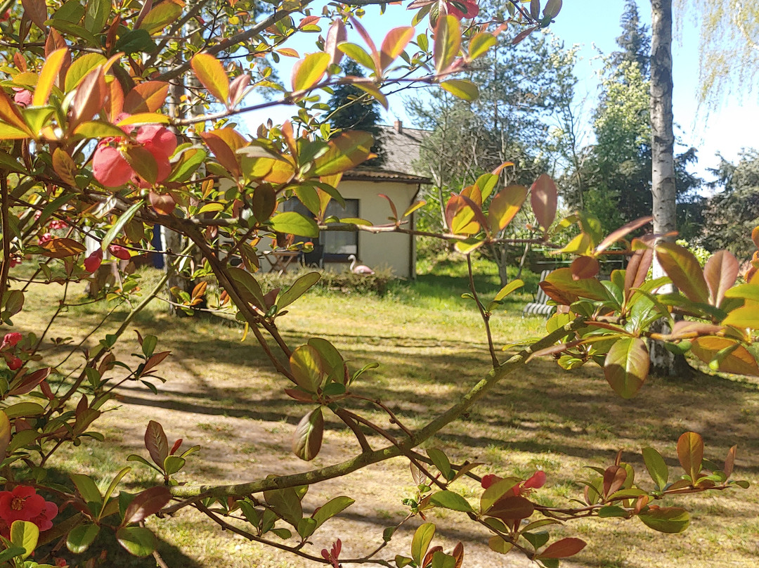 Hutten-Hotel Elbhohe主图