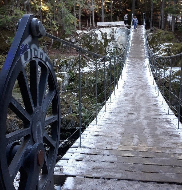 The Whistler Train Wreck Trail-惠斯勒必去景点