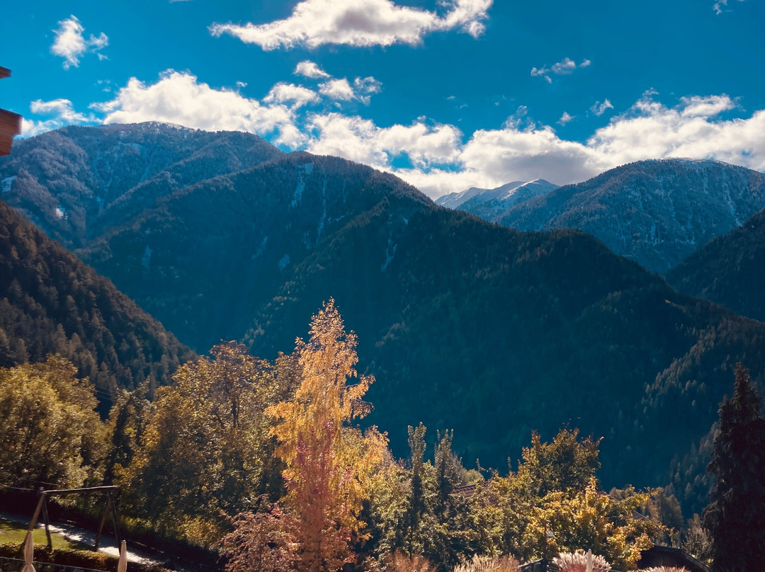 Familyhotel Sonnwies Dolomites主图