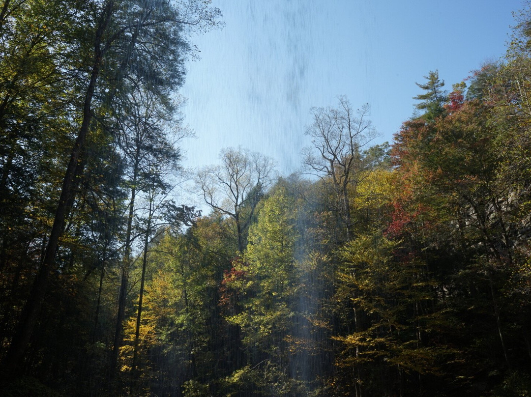 Piney Creek Falls-Spencer必去景点