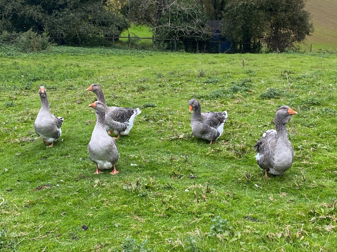 Bickleigh Farm主图