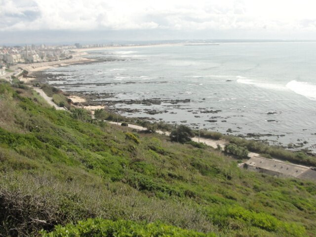 Cabo Mondego Viewpoint-菲盖拉达福什必去景点