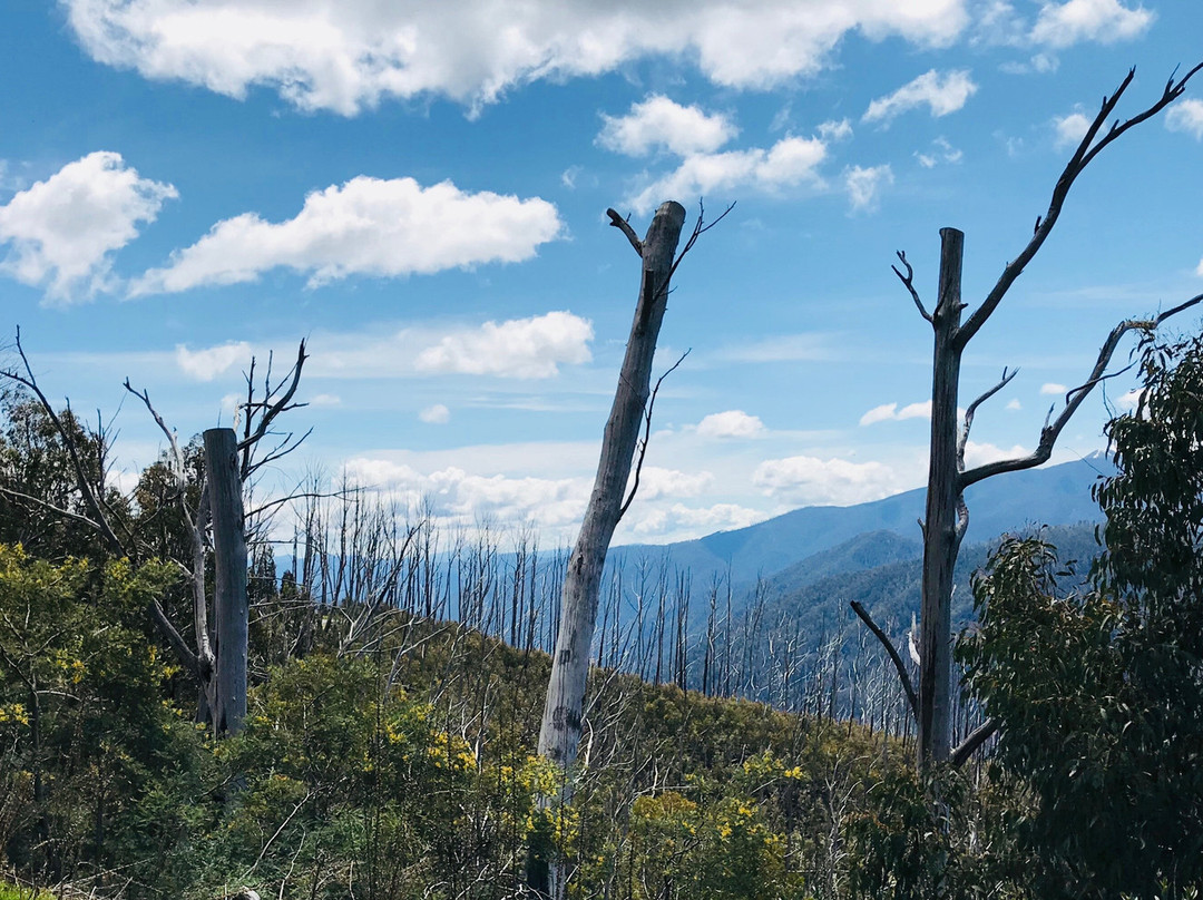 Black Hole-Hotham Heights必去景点