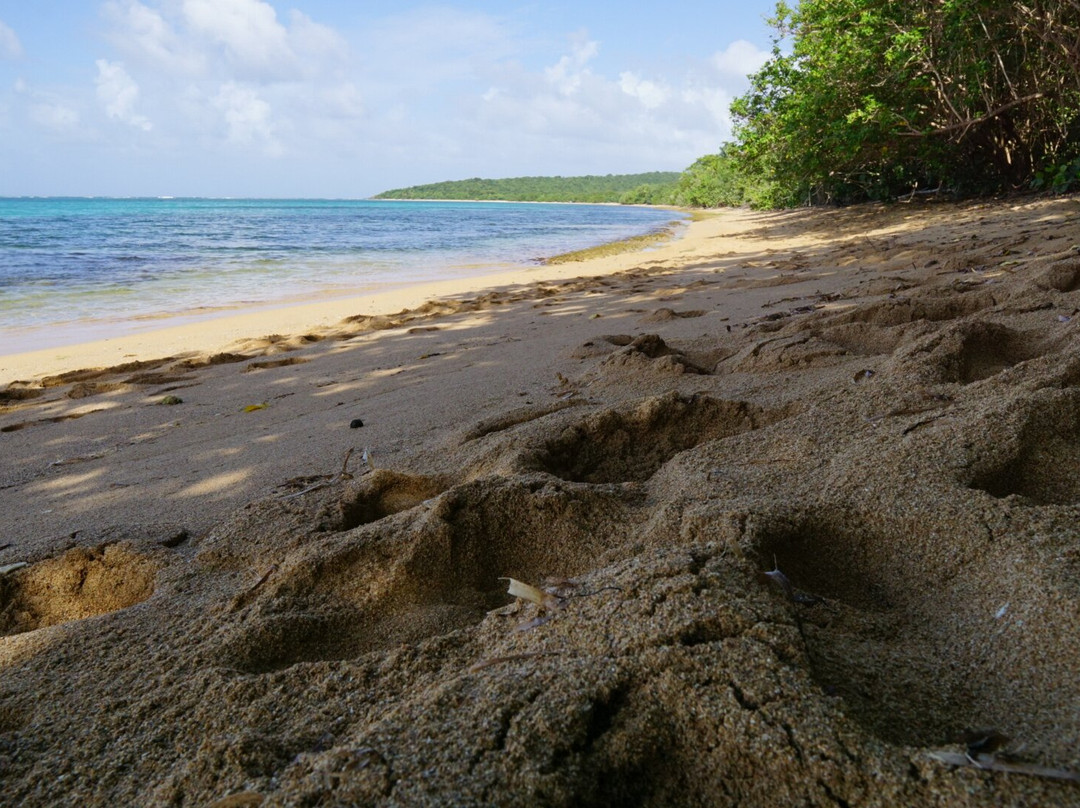 Pirate Snorkeling Shack-法哈多必去景点