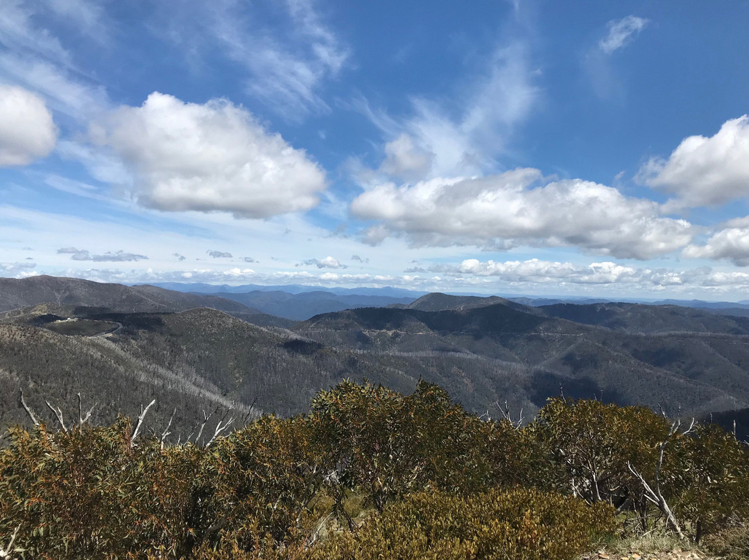 Blowhard Hut-Hotham Heights必去景点