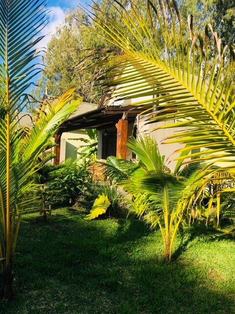 Les Jardins de Chamarel Lodge主图