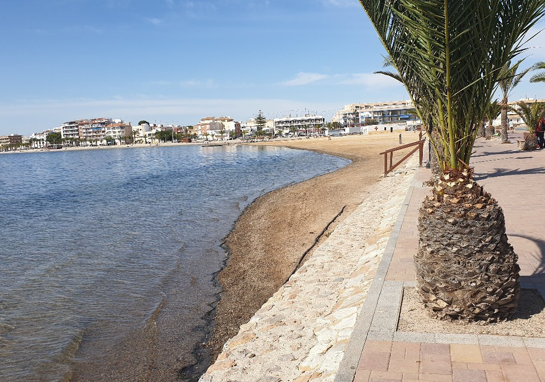 Playa de Villananitos景点图片