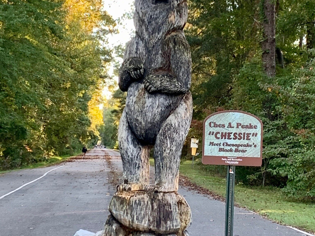 Dismal Swamp Canal Trail景点图片