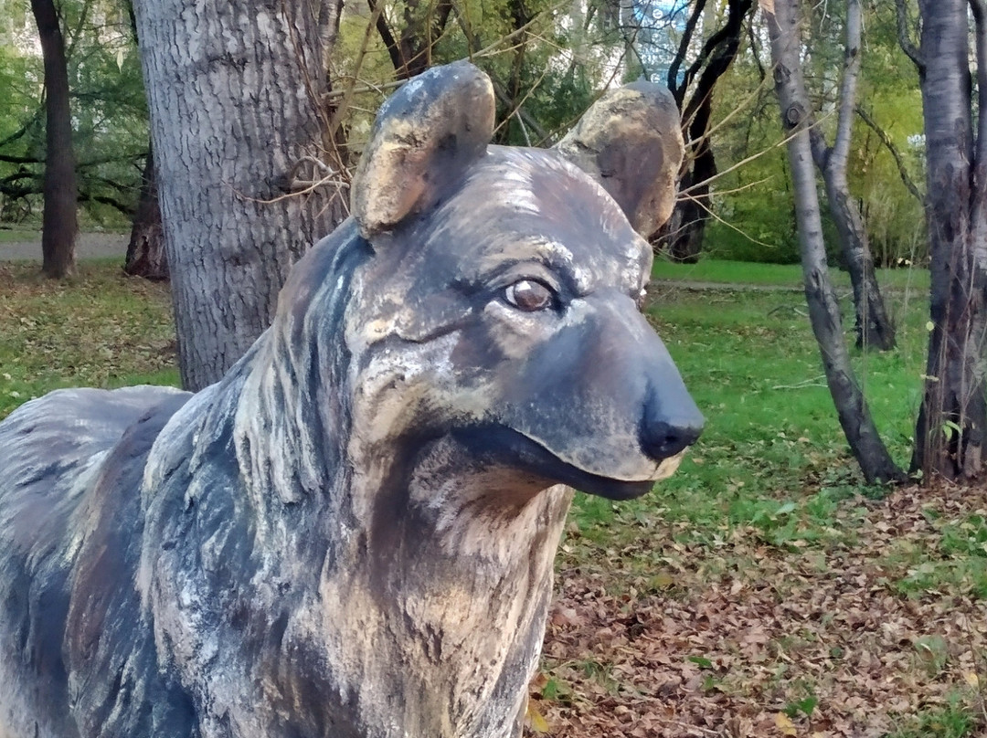 Monument to the Dog Naida景点图片