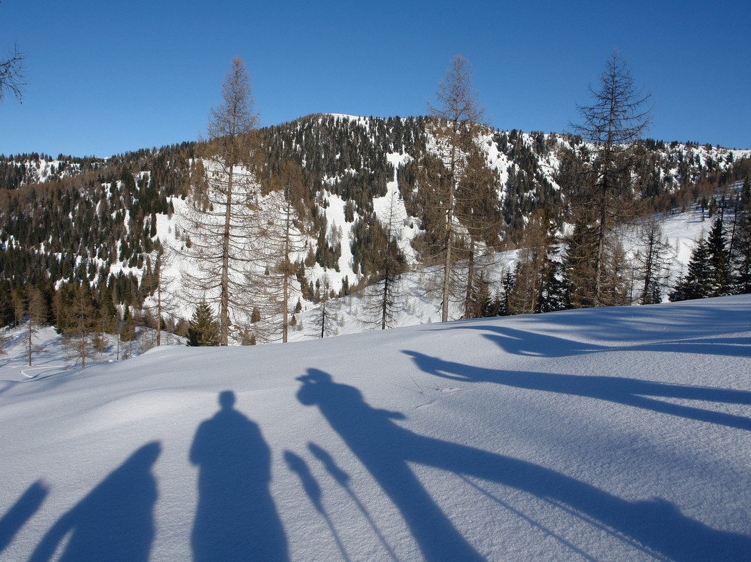 Feld am See旅游攻略图片