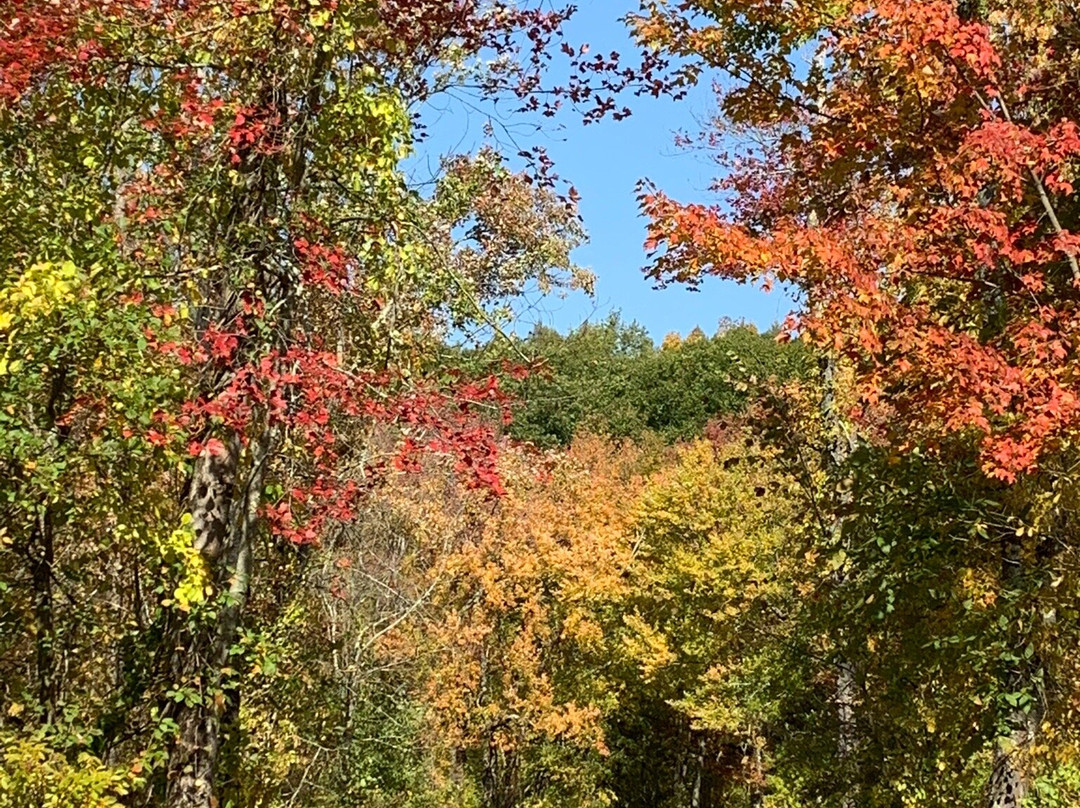 White Memorial Conservation Center-利奇菲尔德必去景点