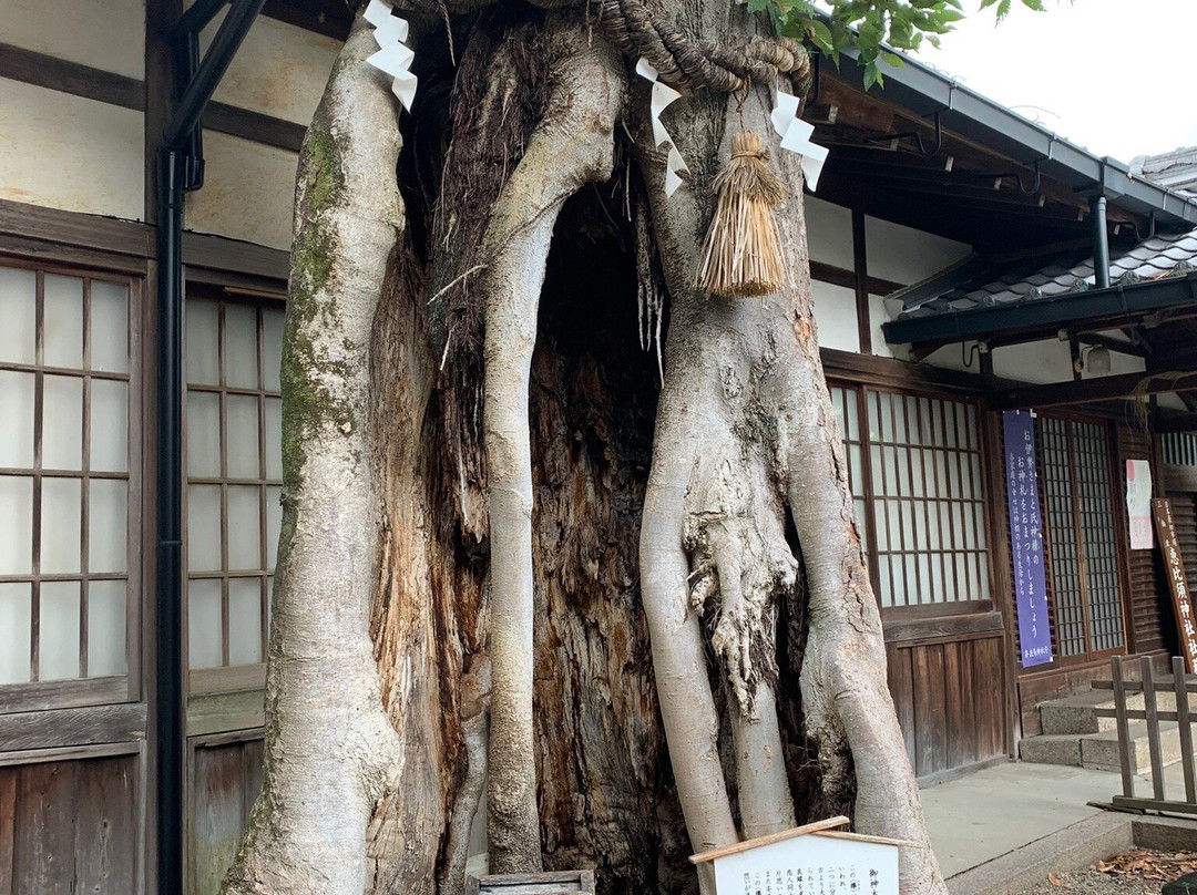 Ebisu Shrine-樱井市必去景点