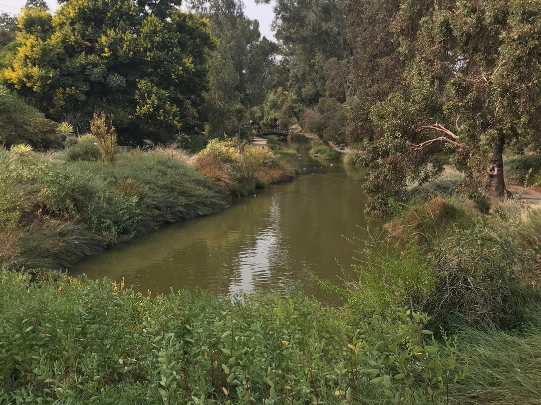 戴维斯大学植物园景点图片