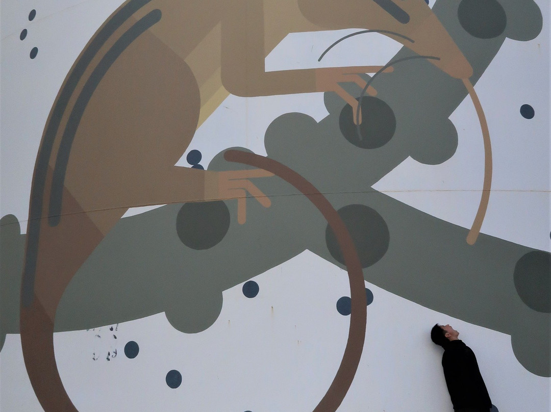 Ravensthorpe Silo Art-Ravensthorpe必去景点