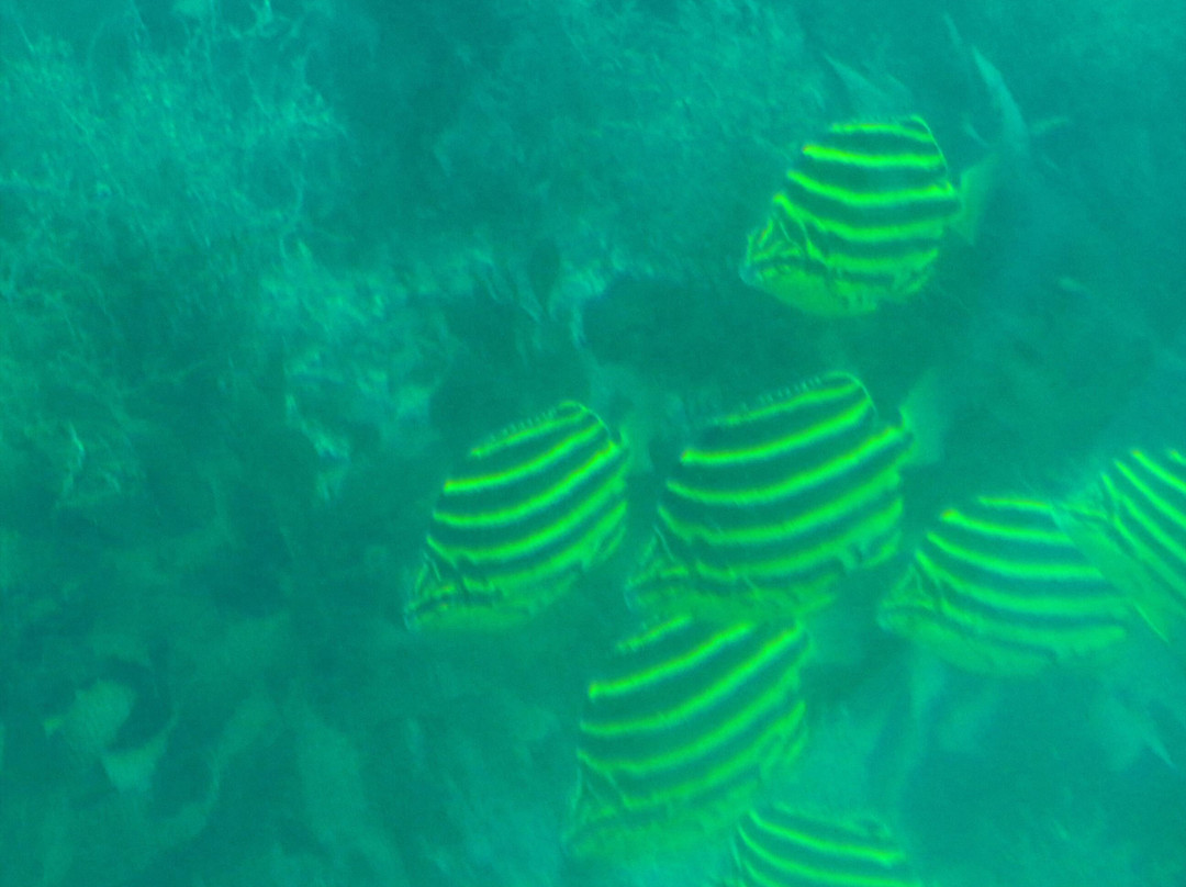 Genkai Underwater Observation Tower-唐津市必去景点