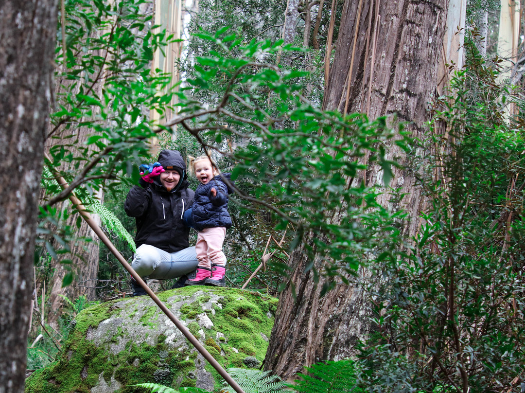 Mushroom Rocks-Erica必去景点