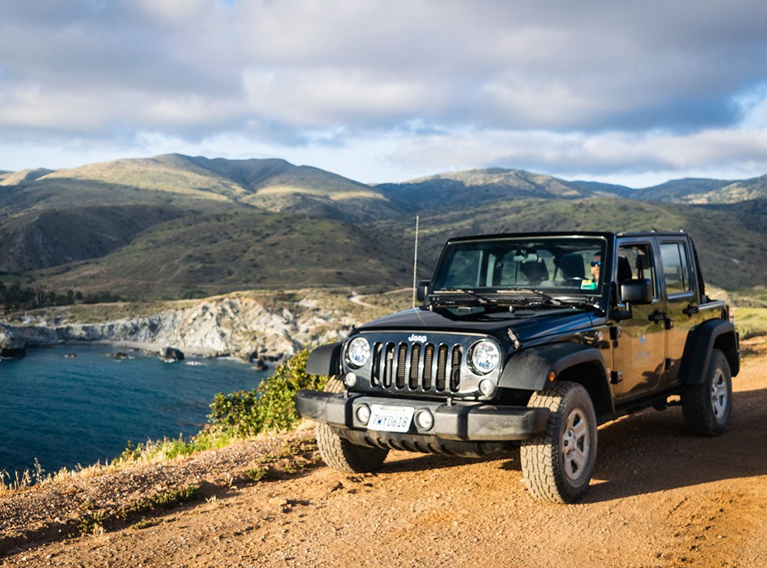 Catalina Taxi and Tours景点图片