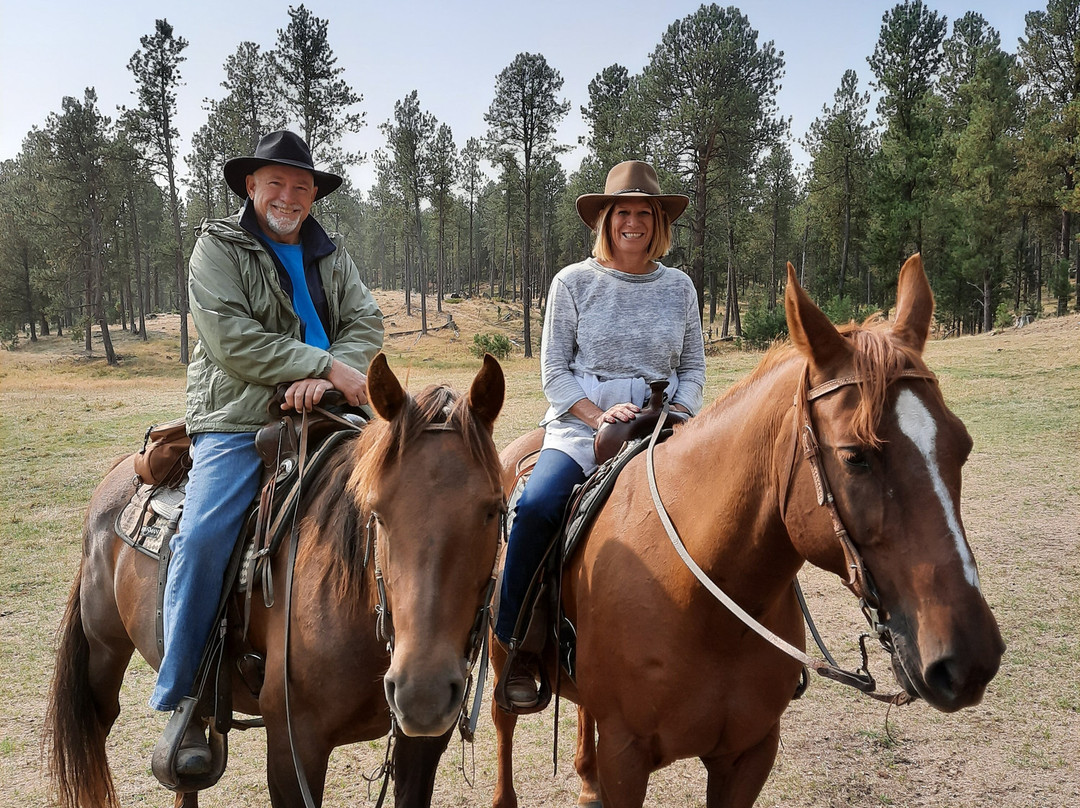 Hollingsworth Horses-卡斯特必去景点