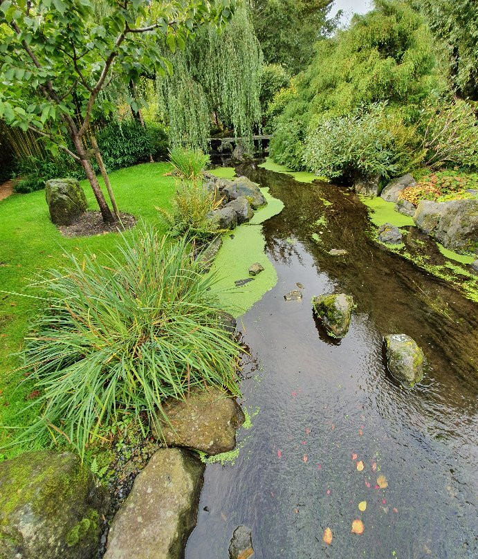 Oranjerie De Groene Parel Den Helder景点图片