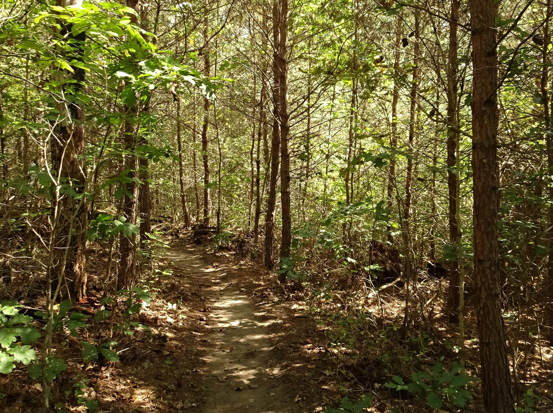 Prince William Forest Park景点图片