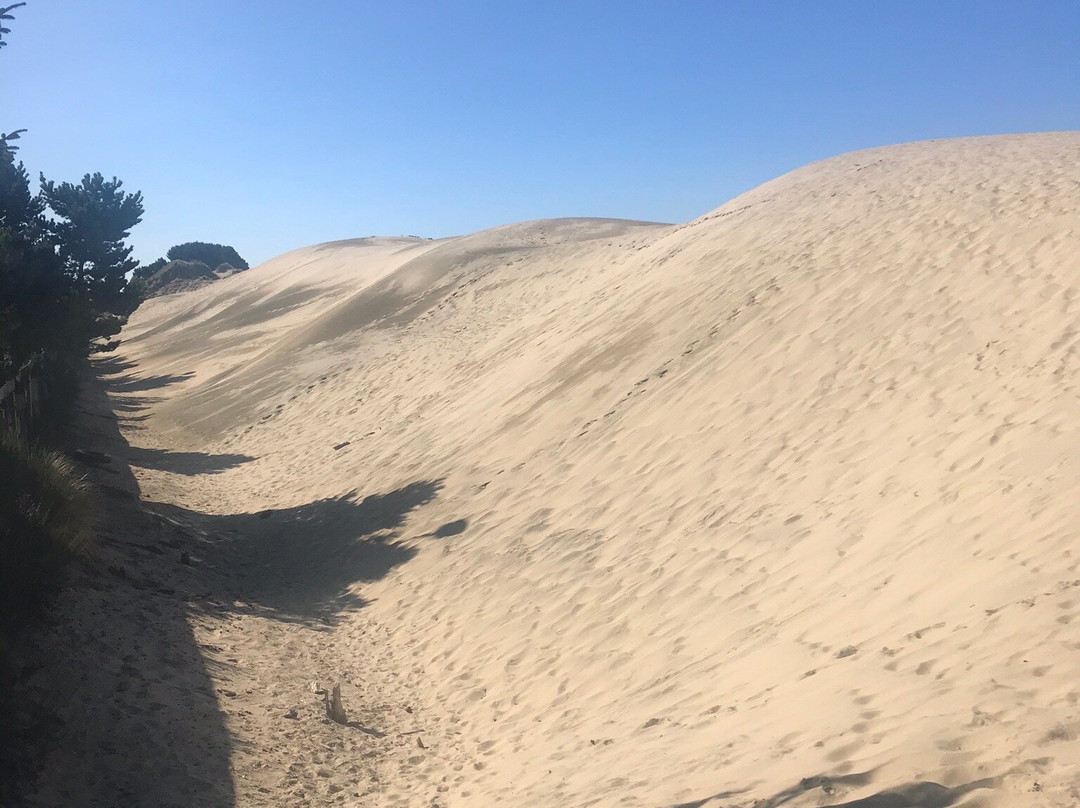 John Dellenback Dunes Trail-弗洛伦斯必去景点