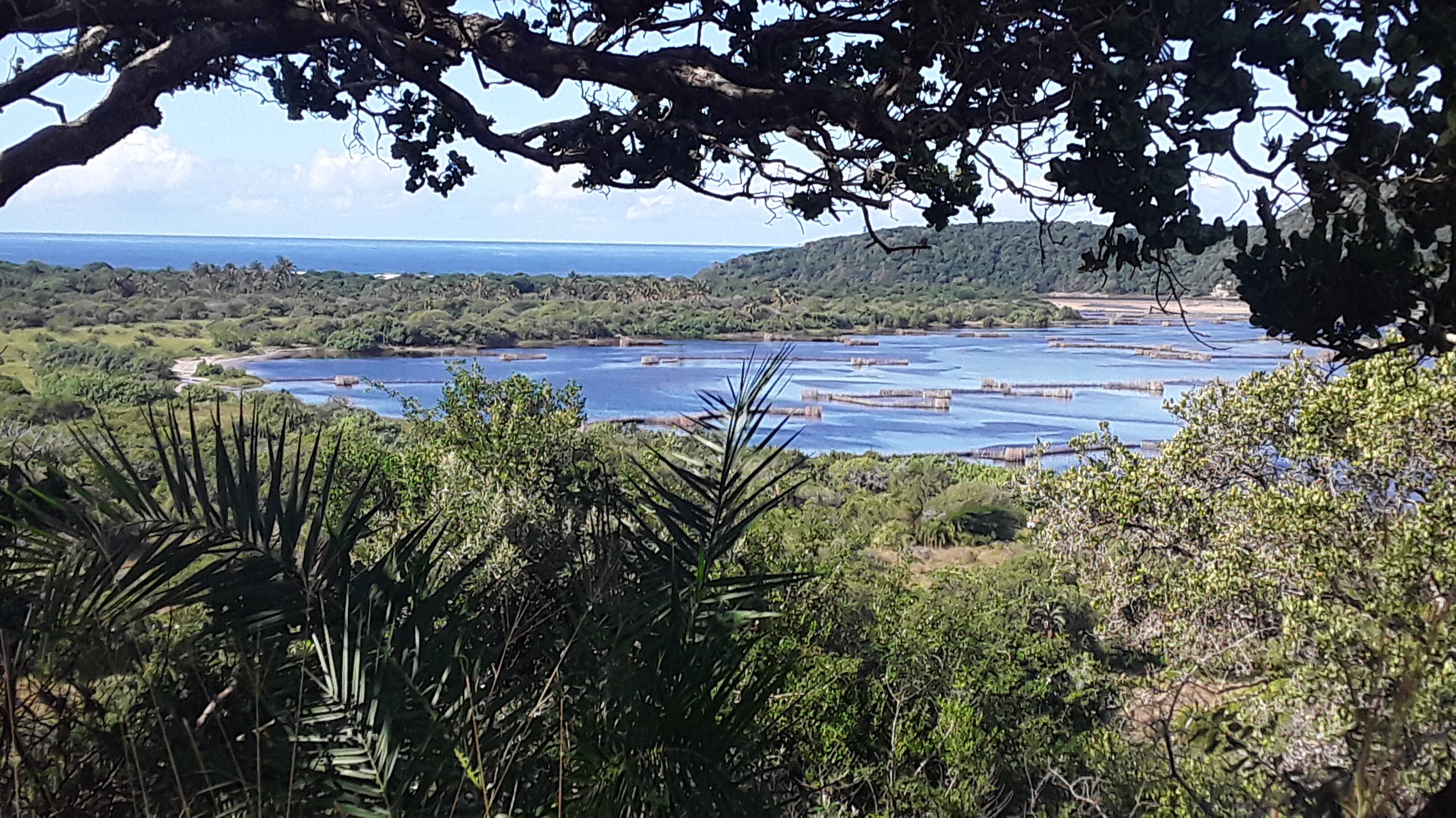 Amangwane Tented Camp-官方