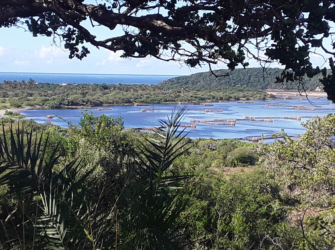 Lopes酒店住宿-Amangwane Tented Camp
