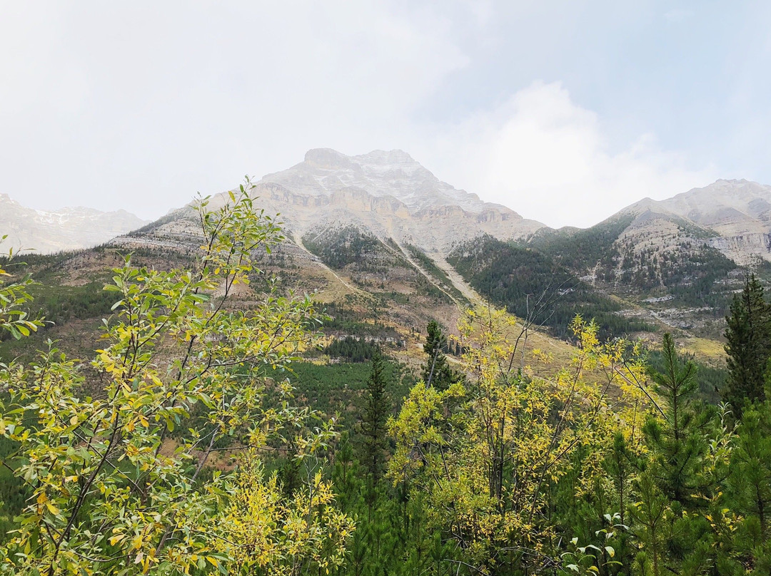 Stanley Glacier Hike景点图片