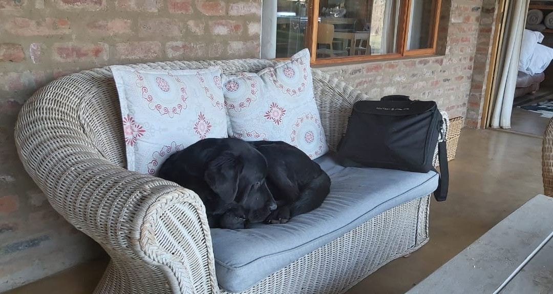 Dalmore Farm Guest House主图