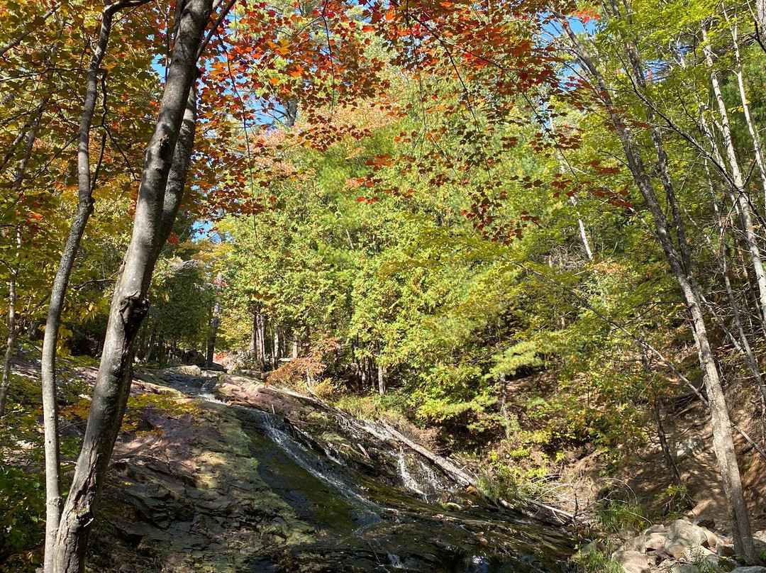 Duchesnay Falls Trails景点图片