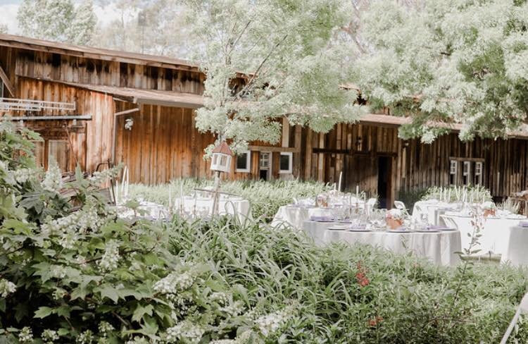 Tj Farms Estates-奇科必去景点