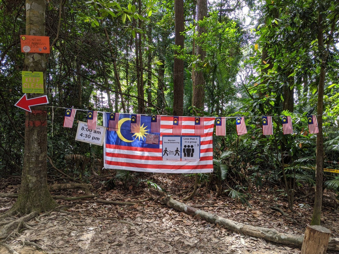 Ayer Hitam Forest Reserve景点图片