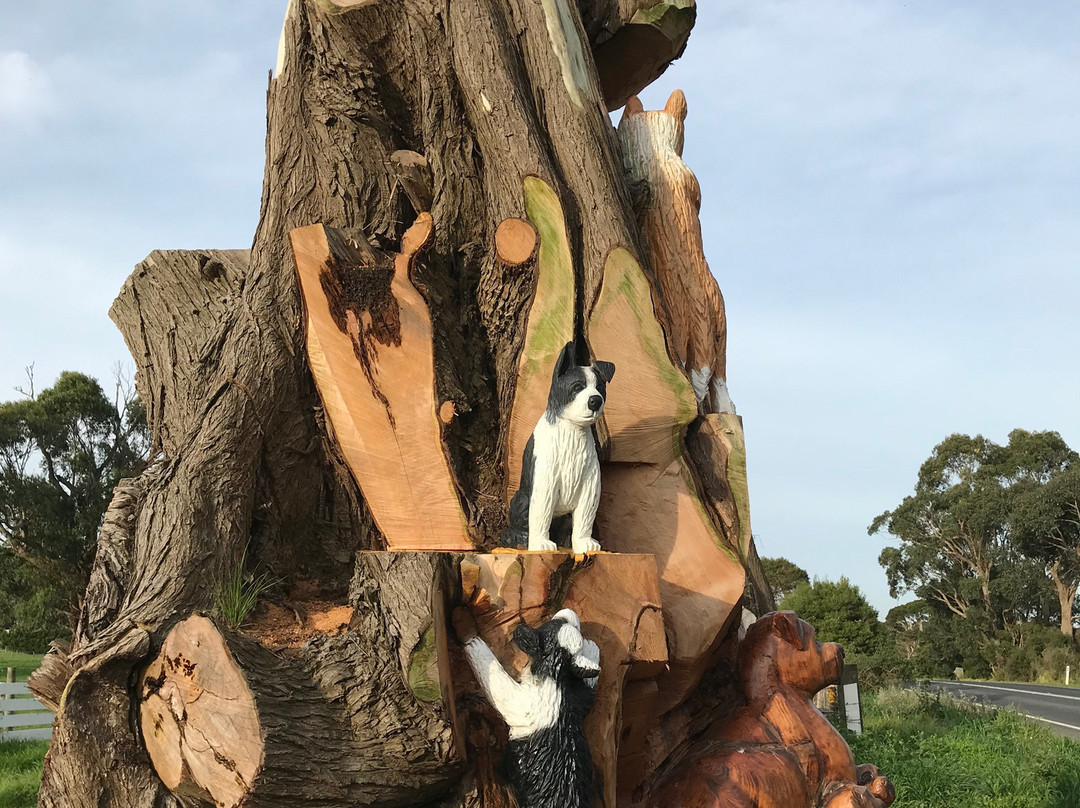 Toora Dog Tree-Toora必去景点