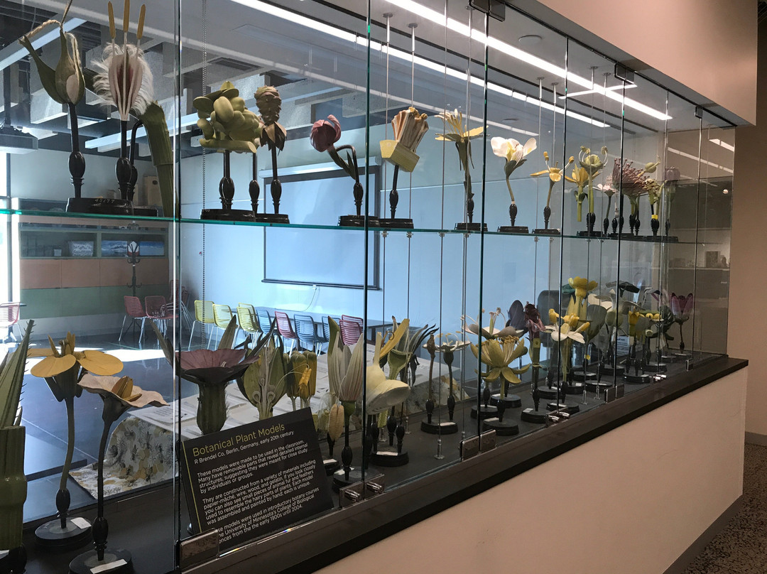 Bell Museum-圣保罗必去景点