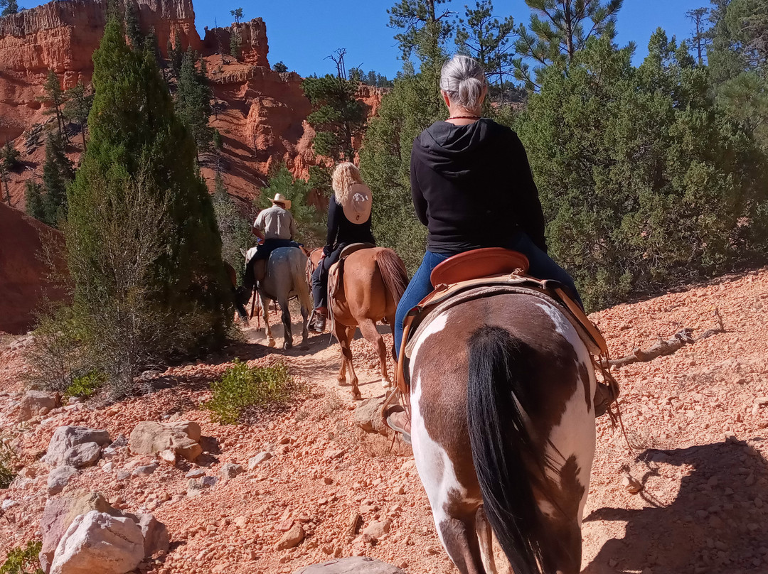 Ruby's Horseback Adventures景点图片
