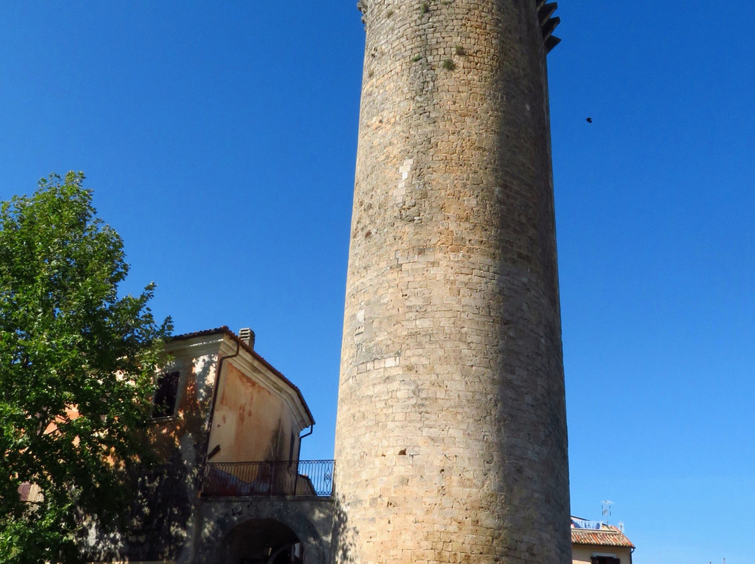Torre Angioina景点图片