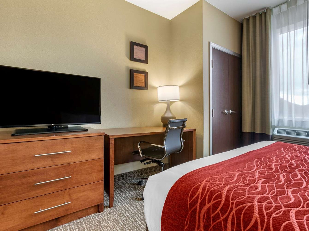 Comfort Inn & Suites Near Mt. Rushmore主图