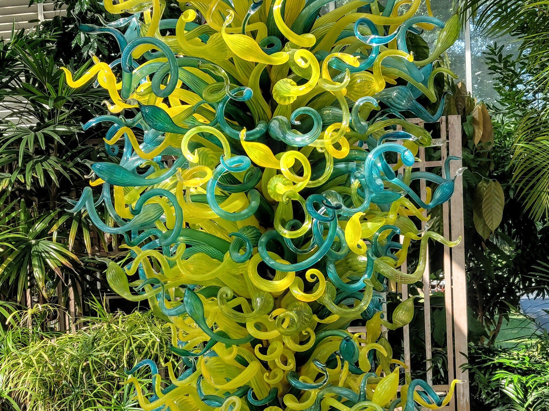 Huntington Museum of Art-亨廷顿必去景点