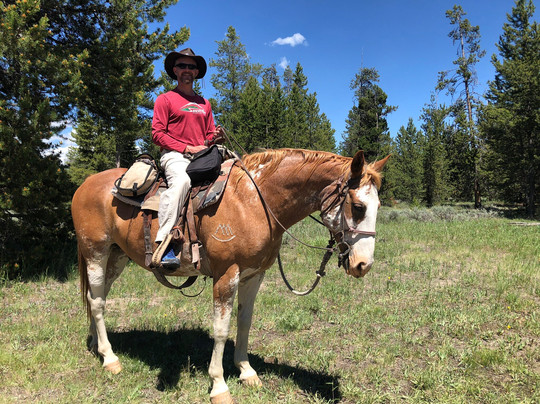 Yellowstone Mountain Guides Day Tours-西黄石镇必去景点