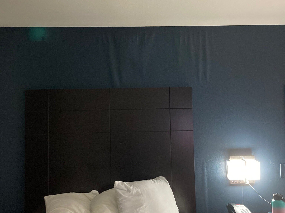 Quality Suites Baton Rouge East Denham Springs主图